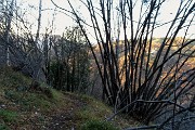 75 Dal roccolo del costone discesa a Salvarizza